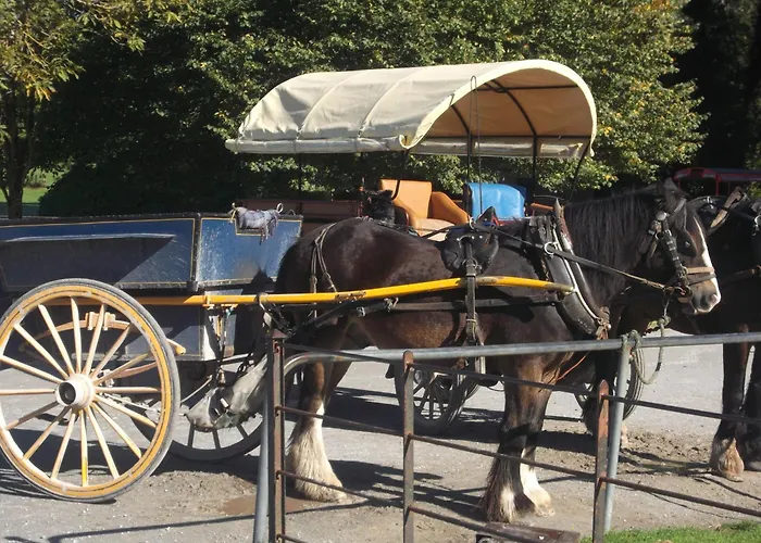 Kerry Homes At The Village Ferienhaus Killarney